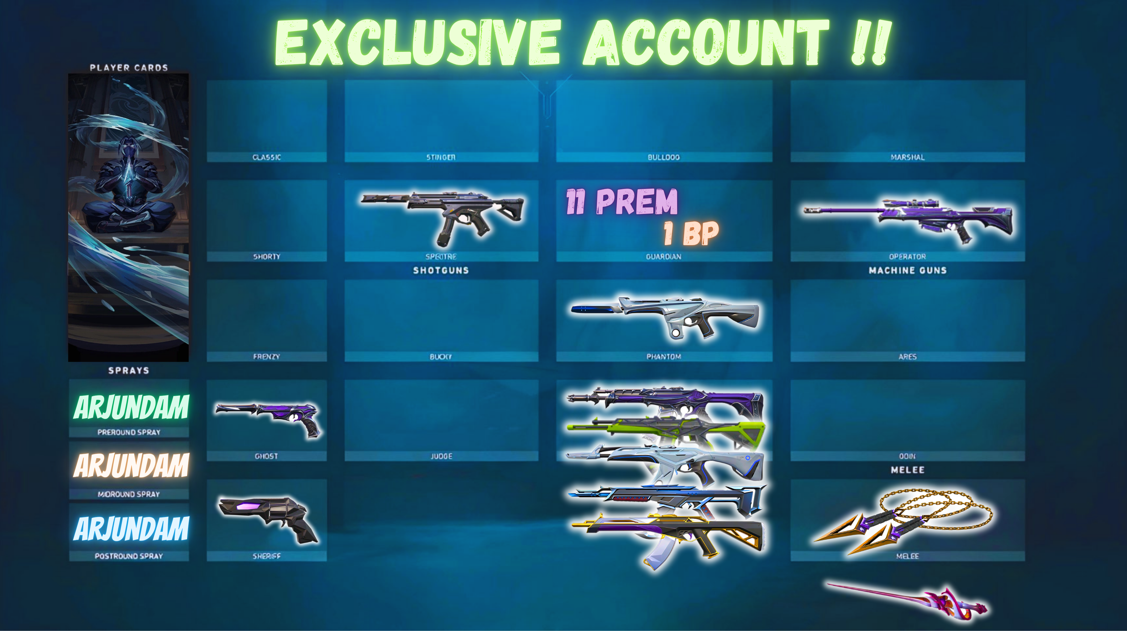 Rare Skins Account